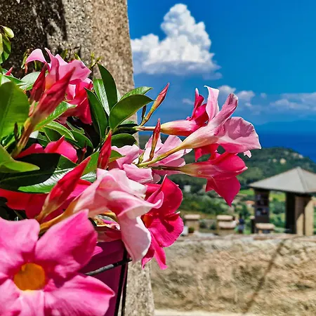 Bilo Terrazza Rio Elba